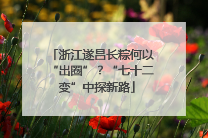 浙江遂昌长粽何以“出圈”？“七十二变”中探新路