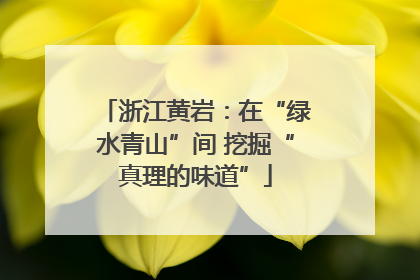 浙江黄岩：在“绿水青山”间 挖掘“真理的味道”