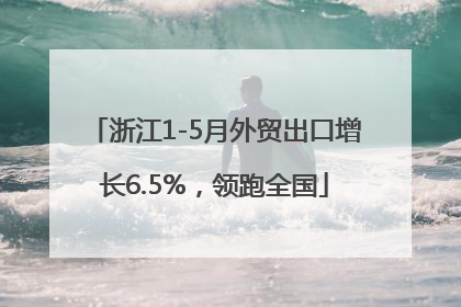 浙江1-5月外贸出口增长6.5%，领跑全国