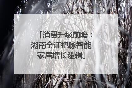 消费升级前瞻：湖南金证把脉智能家居增长逻辑