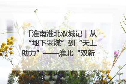 淮南淮北双城记｜从“地下采煤”到“天上助力”——淮北“双新”产业突围记