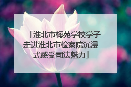 淮北市梅苑学校学子走进淮北市检察院沉浸式感受司法魅力