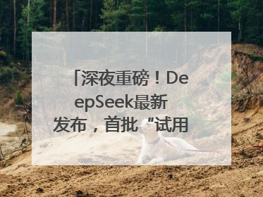 深夜重磅！DeepSeek最新发布，首批“试用体验”出炉→