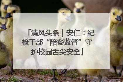 清风头条｜安仁：纪检干部“陪餐监督”守护校园舌尖安全