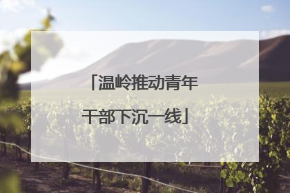 温岭推动青年干部下沉一线