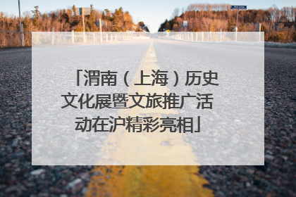 渭南（上海）历史文化展暨文旅推广活动在沪精彩亮相