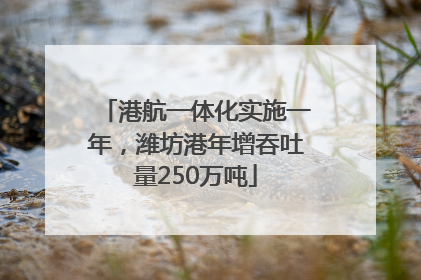 港航一体化实施一年，潍坊港年增吞吐量250万吨