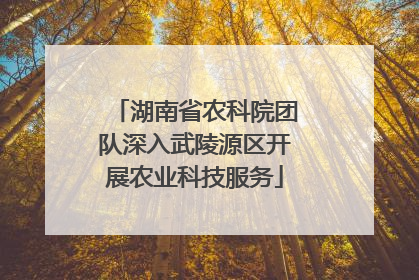 湖南省农科院团队深入武陵源区开展农业科技服务