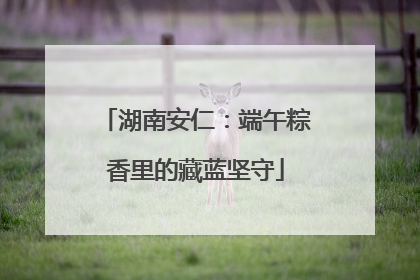 湖南安仁：端午粽香里的藏蓝坚守