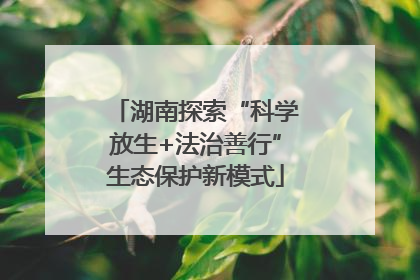 湖南探索“科学放生+法治善行”生态保护新模式