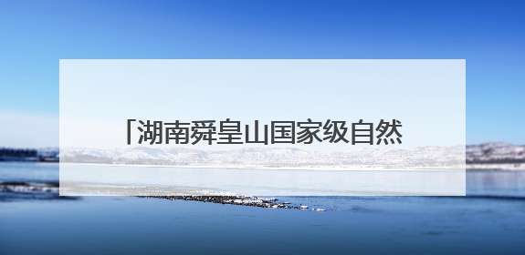 湖南舜皇山国家级自然保护区巡护发现国家二级保护动物——脆蛇蜥