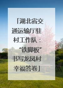 湖北省交通运输厅驻村工作队：“铁脚板”书写龙凤村幸福答卷