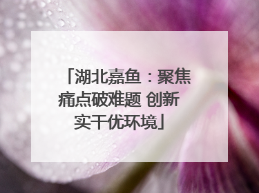 湖北嘉鱼：聚焦痛点破难题 创新实干优环境