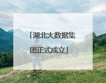 湖北大数据集团正式成立