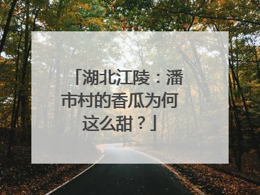 湖北江陵：潘市村的香瓜为何这么甜？