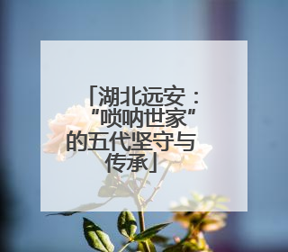 湖北远安：“唢呐世家”的五代坚守与传承