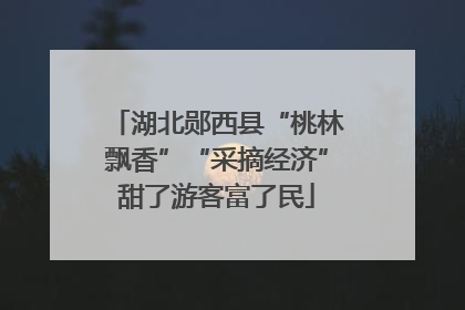 湖北郧西县“桃林飘香”“采摘经济”甜了游客富了民