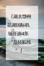湖北鄂州花湖国际机场开通4条“荔枝航线”