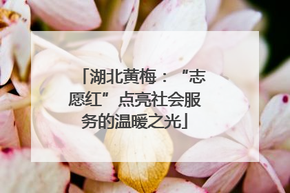 湖北黄梅：“志愿红”点亮社会服务的温暖之光