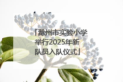 滁州市实验小学举行2025年新队员入队仪式