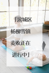 滨城区杨柳雪镇麦收正在进行中
