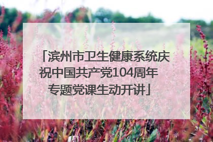 滨州市卫生健康系统庆祝中国共产党104周年专题党课生动开讲