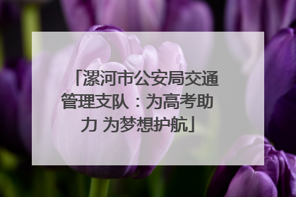 漯河市公安局交通管理支队：为高考助力 为梦想护航