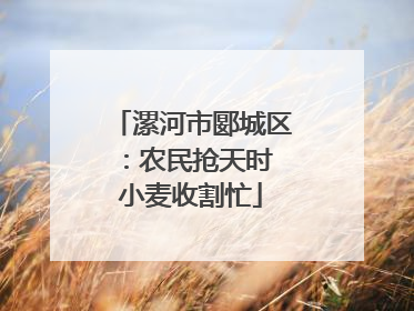 漯河市郾城区：农民抢天时 小麦收割忙