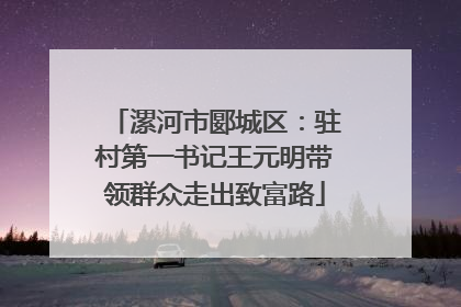 漯河市郾城区：驻村第一书记王元明带领群众走出致富路