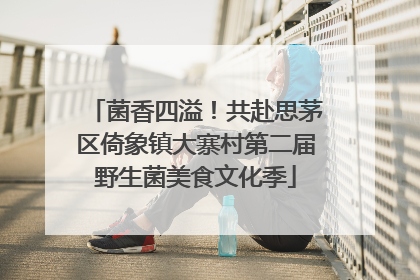 菌香四溢！共赴思茅区倚象镇大寨村第二届野生菌美食文化季