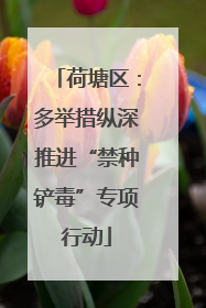 荷塘区：多举措纵深推进“禁种铲毒”专项行动