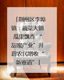荆州区李埠镇：蔬菜大镇瓜果飘香 “甜蜜产业”开辟农民增收“新赛道”