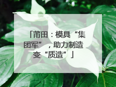 莆田：模具“集团军”，助力制造变“质造”