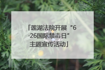 莲湖法院开展“6·26国际禁毒日”主题宣传活动