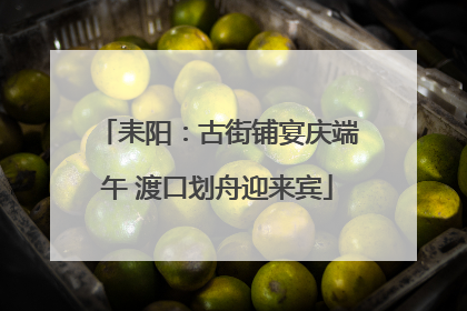 耒阳：古街铺宴庆端午 渡口划舟迎来宾