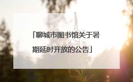 聊城市图书馆关于暑期延时开放的公告