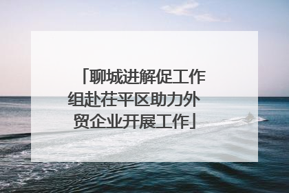 聊城进解促工作组赴茌平区助力外贸企业开展工作