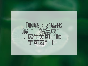 聊城：矛盾化解“一站集成”，民生关切“触手可及”