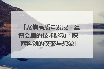 聚焦高质量发展丨丝博会里的技术脉动：陕西科创的突破与想象
