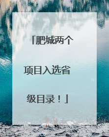 肥城两个项目入选省级目录！