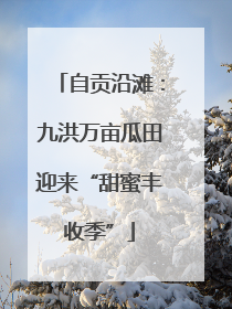 自贡沿滩：九洪万亩瓜田迎来“甜蜜丰收季”