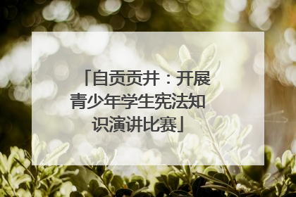 自贡贡井：开展青少年学生宪法知识演讲比赛