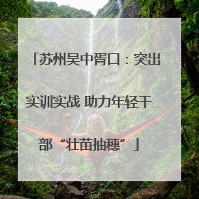 苏州吴中胥口：突出实训实战 助力年轻干部“壮苗抽穗”