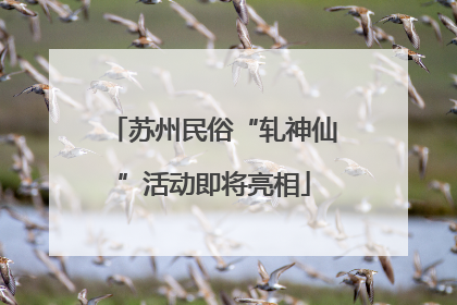 苏州民俗“轧神仙”活动即将亮相