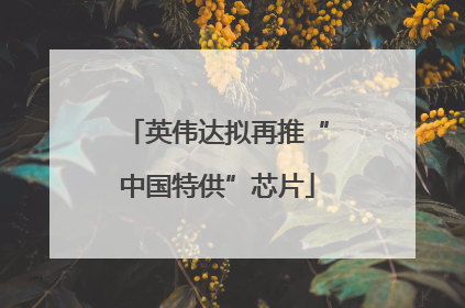 英伟达拟再推“中国特供”芯片
