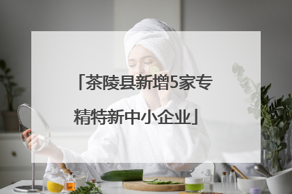 茶陵县新增5家专精特新中小企业