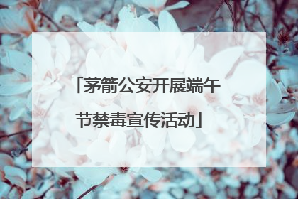 茅箭公安开展端午节禁毒宣传活动