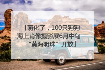 萌化了，100只狗狗海上肖像摄影展6月中旬“黄海明珠”开放