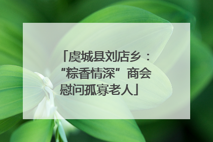 虞城县刘店乡：“粽香情深”商会慰问孤寡老人