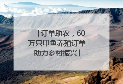 订单助农，60万只甲鱼养殖订单助力乡村振兴